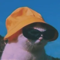original sound - cats_pawsy