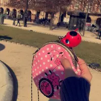miraculousladybug6008