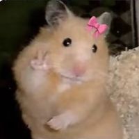 strawberrynina3