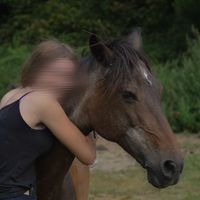 loanne_._mrt