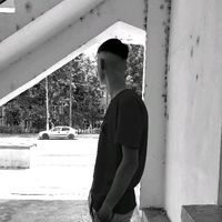 cavalerul.23