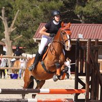 m.equitation83