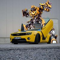 tanjabumblebee