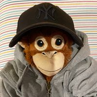 camillo.monkey
