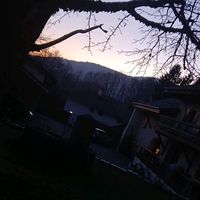 lisee2209