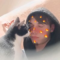 ninostoriesofficiel