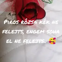 krisztina792