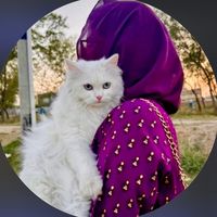 fatima_.writess