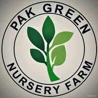 pakgreennursery1