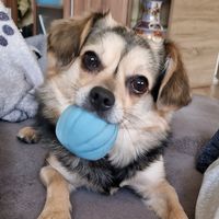 lillylou56789