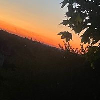 spam_xo28