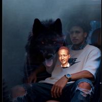 TikTok Account - https://p16-pu-no.tiktokcdn-eu.com/tos-no1a-avt-0068c001-no/0a7ae82caa99b381ca61bb093c2fe4eb~tplv-tiktokx-cropcenter:200:200.jpeg