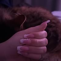 a.nss781