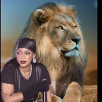 original sound - zerostress24