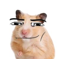 officialomegahamster