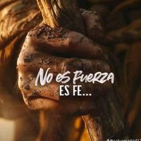 simplemente.fe