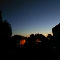 ich_folge_jedem_back16