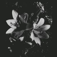 ..anonymouslyy0