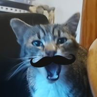 louiswainsno1fan