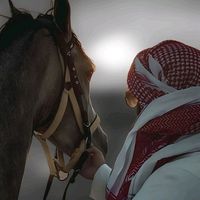 оригинальный звук - muslim.bula