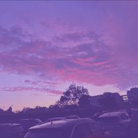 anaa_3095