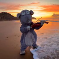 TikTok Account Photo