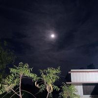 muswarlaghari1