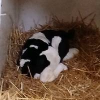 agriculture_du_59