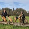 malinoirst