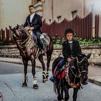 sebastianoaddis