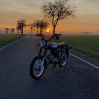 jonas_w51