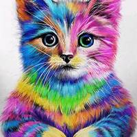 TikTok Account Photo