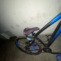 bklf__riky