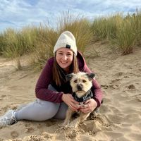 greatbritishdogwalks