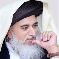 sultanat.rizvi.72