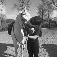 equi_c17