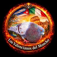 ramon_p.v