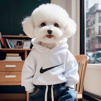 bandly_pet