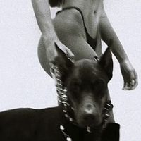 matteagrace4