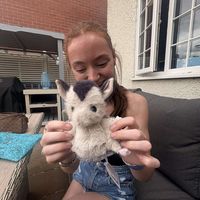 emiibear_