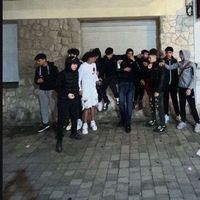 dein_albo41