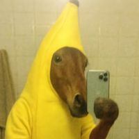 anaroobledoo_
