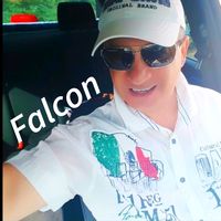 muratfalcon