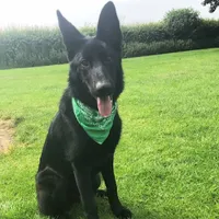 original sound - marek.pawel4