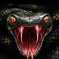 michelle_cobra