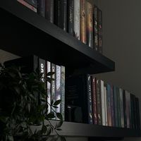 2k4reads