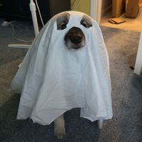 joshmarsh34_