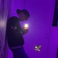 volpe_vale