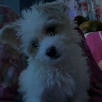 eleny._.andreea
