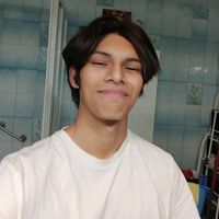 bro_land_salva